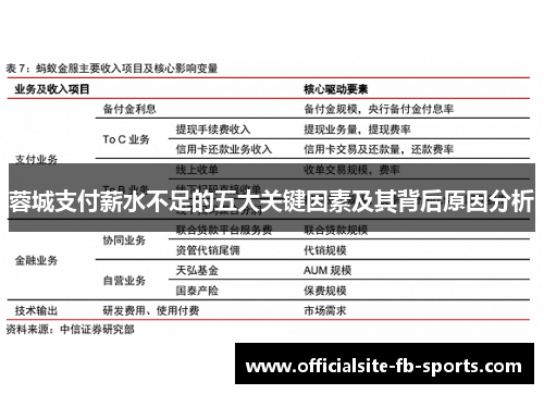 蓉城支付薪水不足的五大关键因素及其背后原因分析