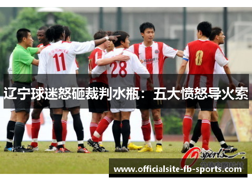 辽宁球迷怒砸裁判水瓶:五大愤怒导火索 辽宁球迷怒砸裁判水瓶:五大愤怒导火索